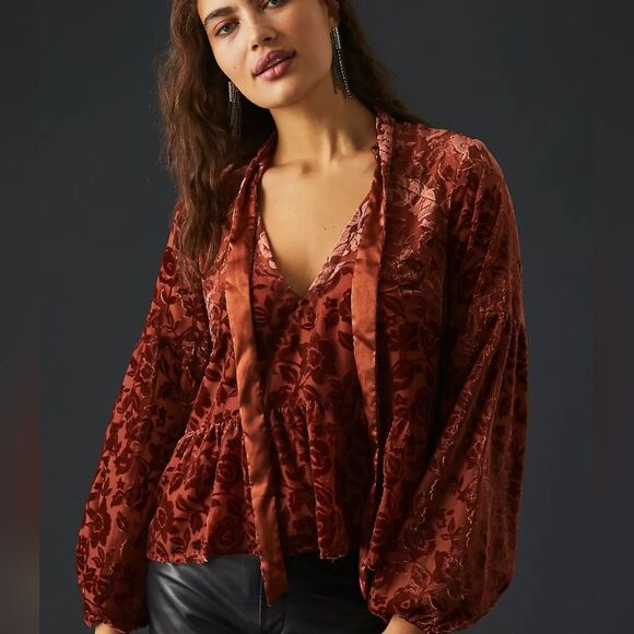 NWT Anthropologie Velvet Tie-Neck Blouse size M - Picture 6 of 13